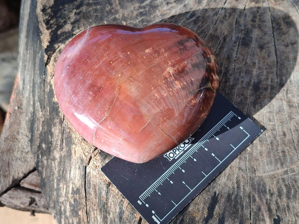 Polished Red Podocarpus Petrified Wood Hearts x 3 From Mahajanga, Madagascar - Toprock Gemstones and Minerals 