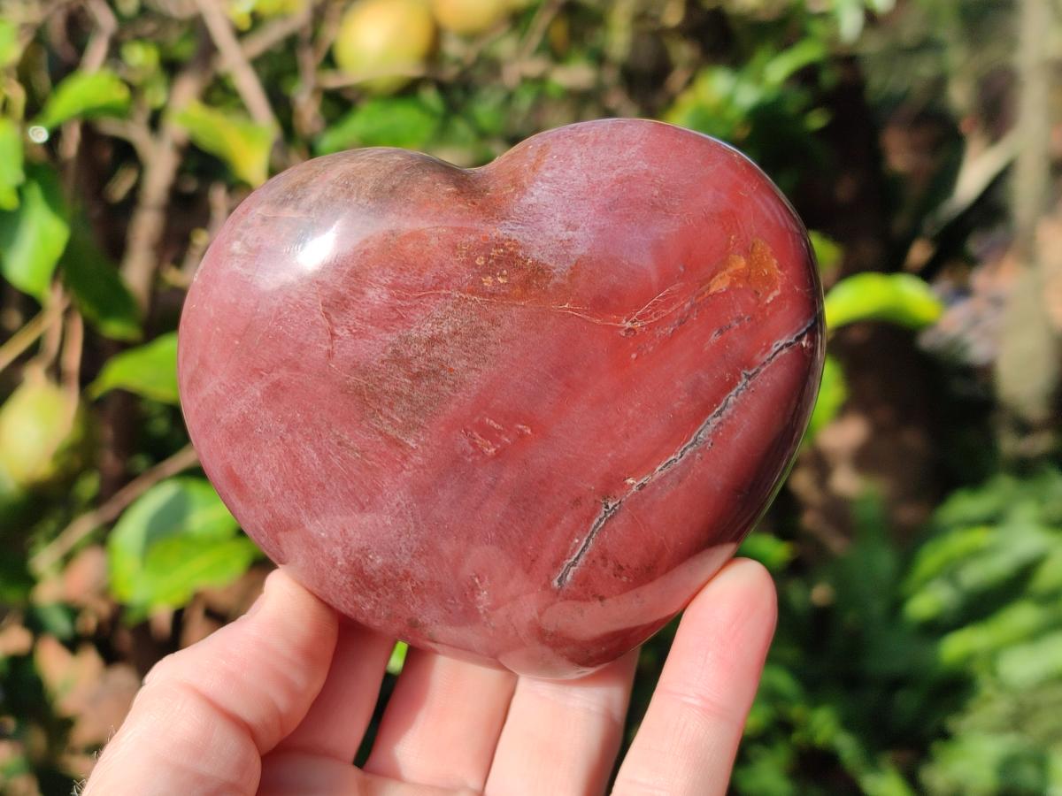 Polished Red Podocarpus Petrified Wood Hearts x 3 From Mahajanga, Madagascar - Toprock Gemstones and Minerals 