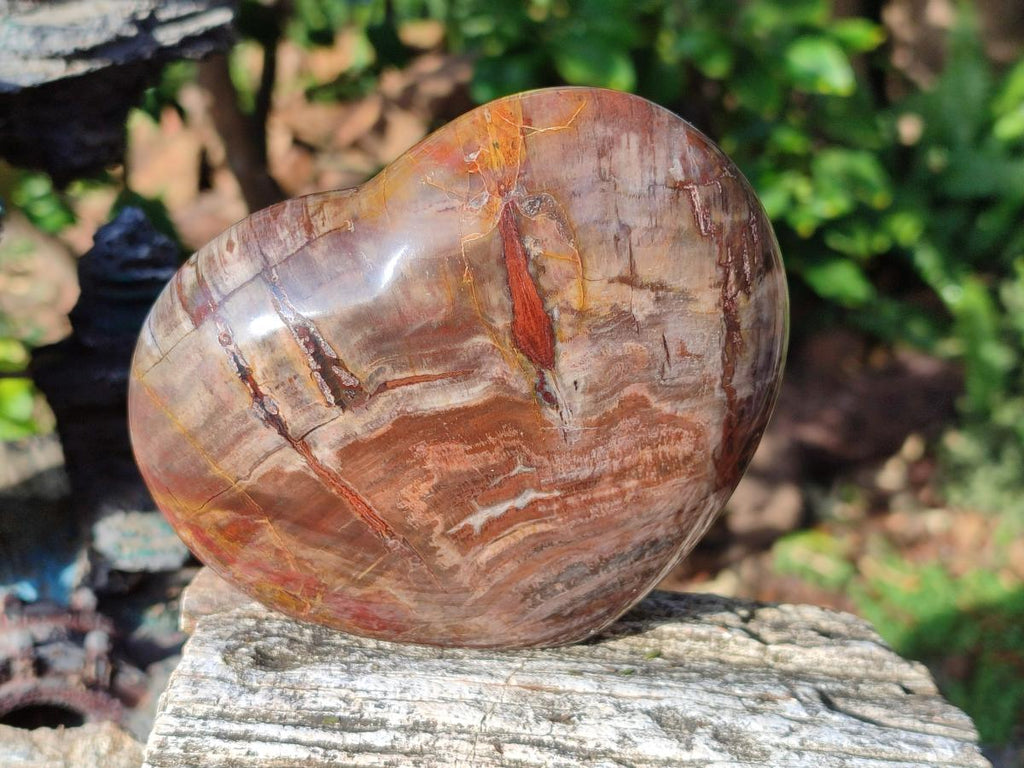 Polished Red Podocarpus Petrified Wood Hearts x 3 From Mahajanga, Madagascar - Toprock Gemstones and Minerals 