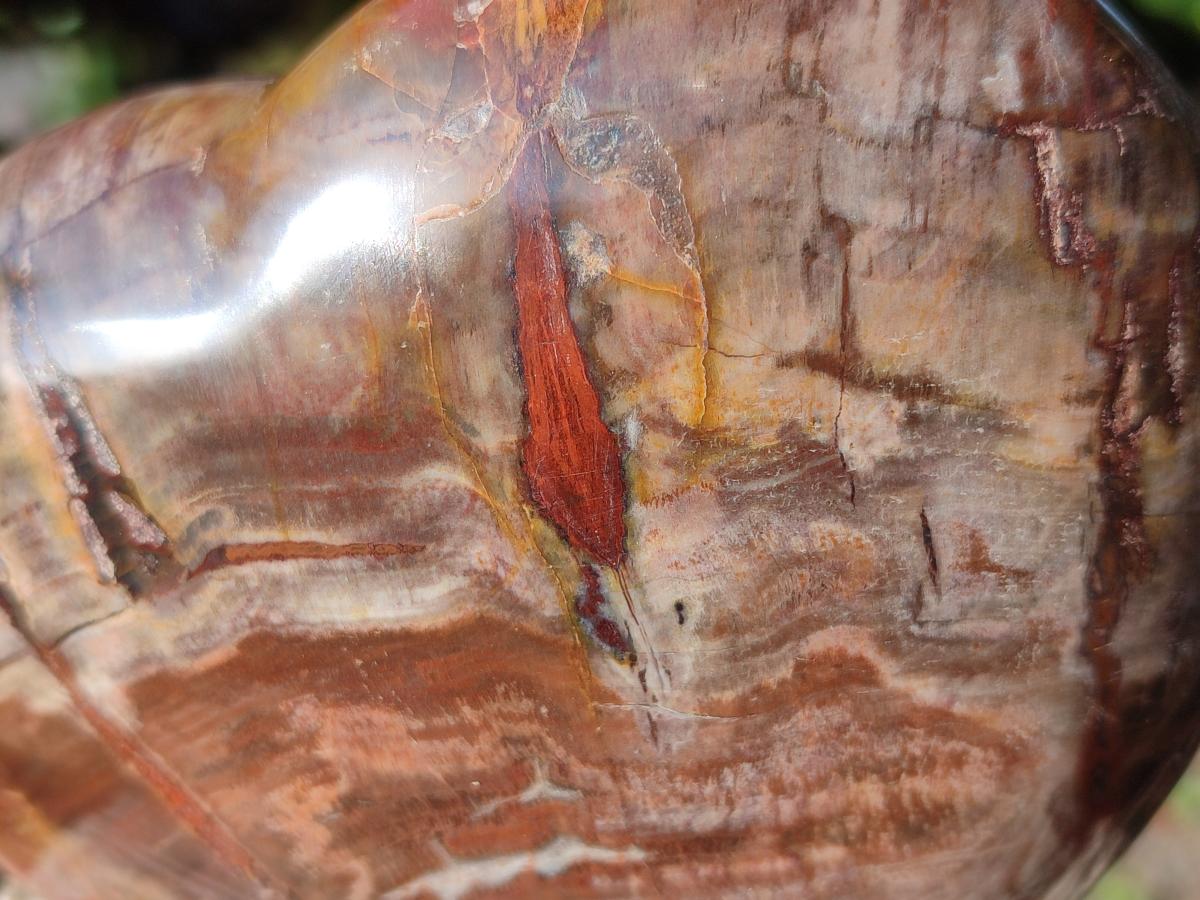 Polished Red Podocarpus Petrified Wood Hearts x 3 From Mahajanga, Madagascar - Toprock Gemstones and Minerals 