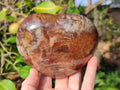 Polished Red Podocarpus Petrified Wood Hearts x 3 From Mahajanga, Madagascar - Toprock Gemstones and Minerals 