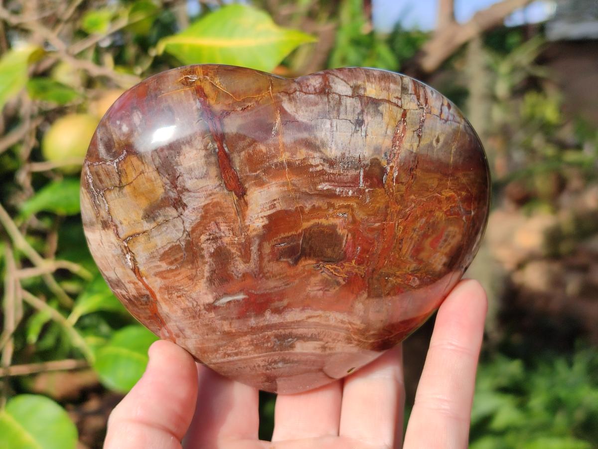 Polished Red Podocarpus Petrified Wood Hearts x 3 From Mahajanga, Madagascar - Toprock Gemstones and Minerals 