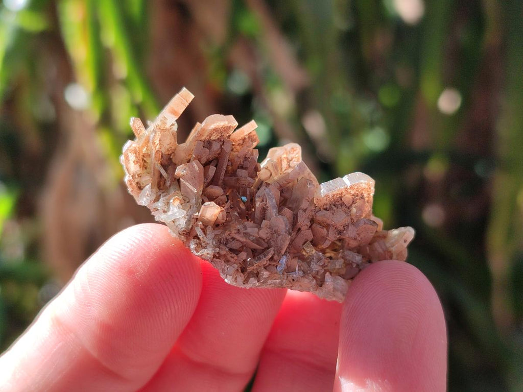 Natural Rare Mini Bladed Barite Specimens x 21 From Congo - Toprock Gemstones and Minerals 