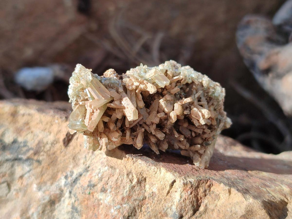Natural Rare Mini Bladed Barite Specimens x 21 From Congo - Toprock Gemstones and Minerals 