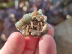 Natural Rare Mini Bladed Barite Specimens x 21 From Congo - Toprock Gemstones and Minerals 