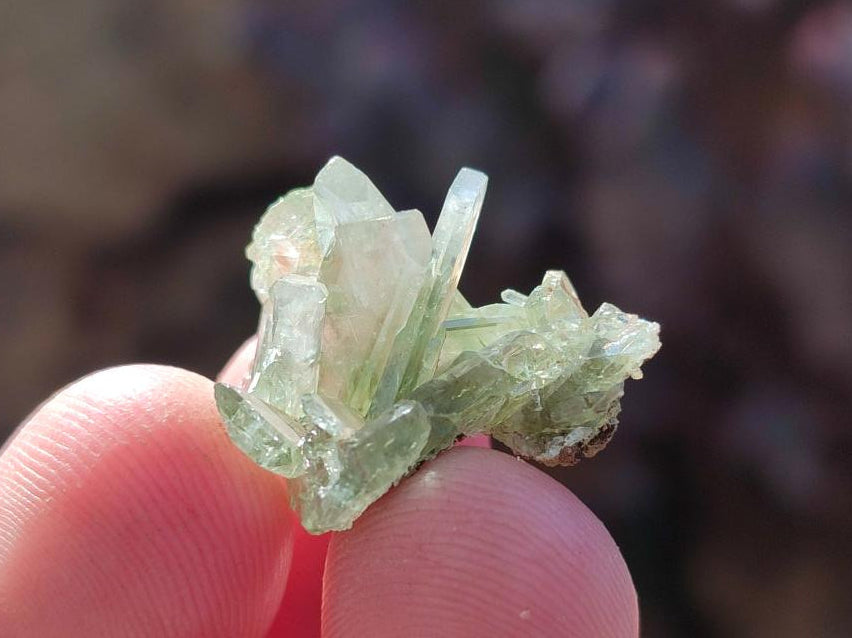 Natural Rare Mini Bladed Barite Specimens x 21 From Congo - Toprock Gemstones and Minerals 
