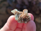 Natural Rare Mini Bladed Barite Specimens x 21 From Congo - Toprock Gemstones and Minerals 