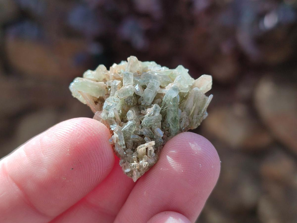 Natural Rare Mini Bladed Barite Specimens x 21 From Congo - Toprock Gemstones and Minerals 