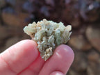 Natural Rare Mini Bladed Barite Specimens x 21 From Congo - Toprock Gemstones and Minerals 