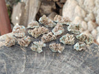 Natural Rare Mini Bladed Barite Specimens x 21 From Congo - Toprock Gemstones and Minerals 