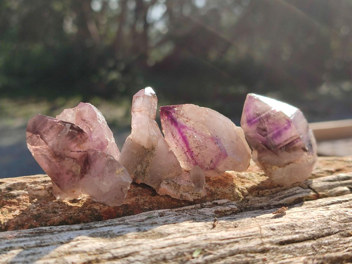 Natural Amethyst Window Quartz Crystals x 70 From Brandberg, Namibia - Toprock Gemstones and Minerals 