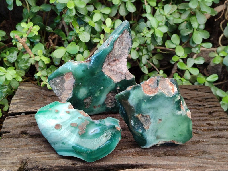 Polished On One Side Mtorolite Chrysoprase Slices x 3 From Mutorashanga, Zimbabwe - Toprock Gemstones and Minerals 