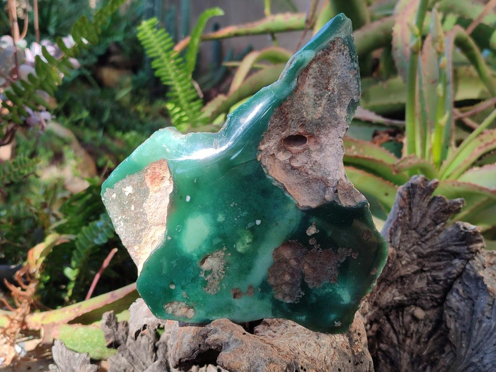 Polished On One Side Mtorolite Chrysoprase Slices x 3 From Mutorashanga, Zimbabwe - Toprock Gemstones and Minerals 