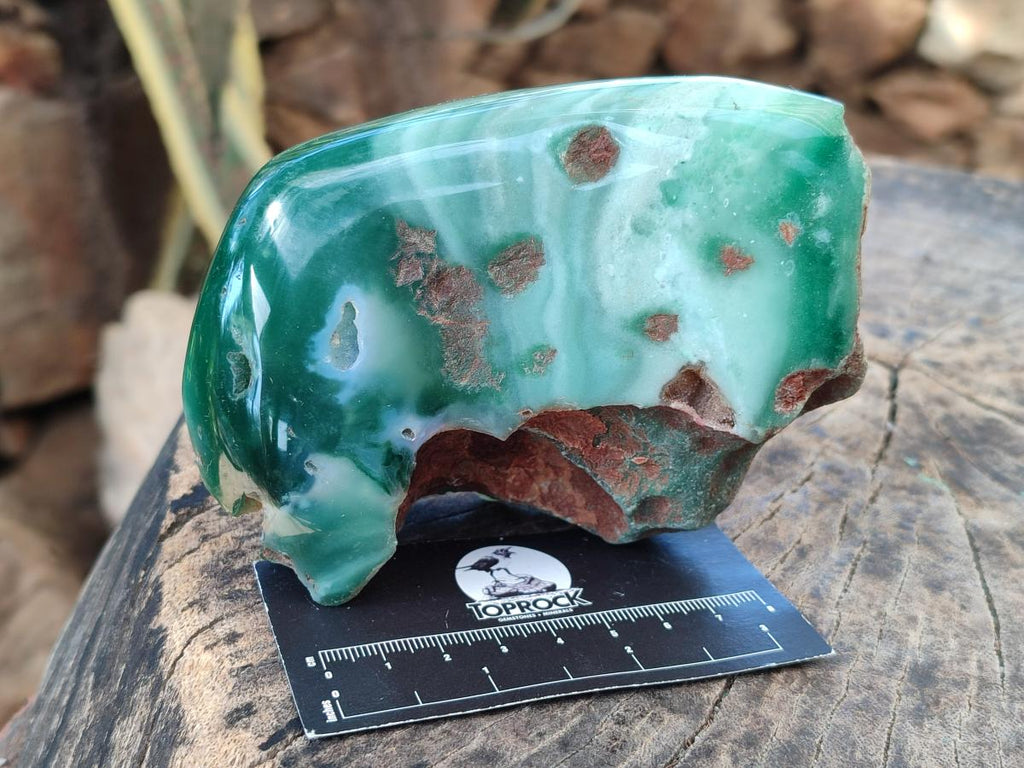 Polished On One Side Mtorolite Chrysoprase Slices x 3 From Mutorashanga, Zimbabwe - Toprock Gemstones and Minerals 