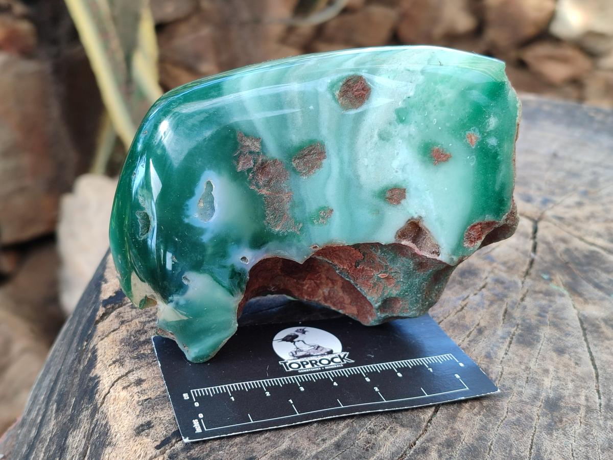 Polished On One Side Mtorolite Chrysoprase Slices x 3 From Mutorashanga, Zimbabwe - Toprock Gemstones and Minerals 