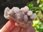 Natural Spirit Amethyst Clusters x 12 From Boekenhouthoek, South Africa - Toprock Gemstones and Minerals 