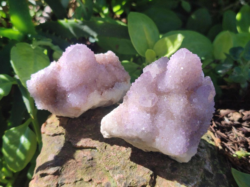 Natural Spirit Amethyst Clusters x 12 From Boekenhouthoek, South Africa - Toprock Gemstones and Minerals 