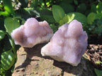 Natural Spirit Amethyst Clusters x 12 From Boekenhouthoek, South Africa - Toprock Gemstones and Minerals 