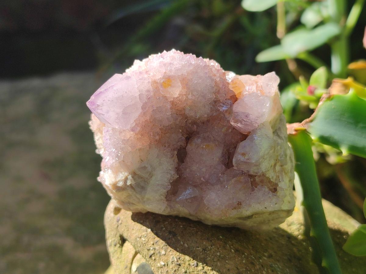 Natural Spirit Amethyst Clusters x 12 From Boekenhouthoek, South Africa - Toprock Gemstones and Minerals 