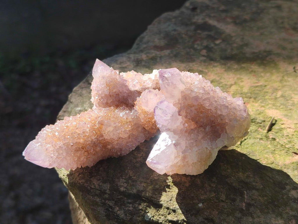 Natural Spirit Amethyst Clusters x 12 From Boekenhouthoek, South Africa - Toprock Gemstones and Minerals 