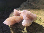 Natural Spirit Amethyst Clusters x 12 From Boekenhouthoek, South Africa - Toprock Gemstones and Minerals 