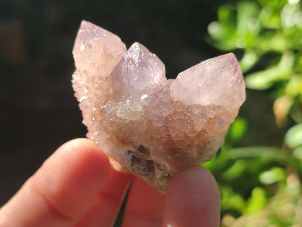 Natural Spirit Amethyst Clusters x 12 From Boekenhouthoek, South Africa - Toprock Gemstones and Minerals 