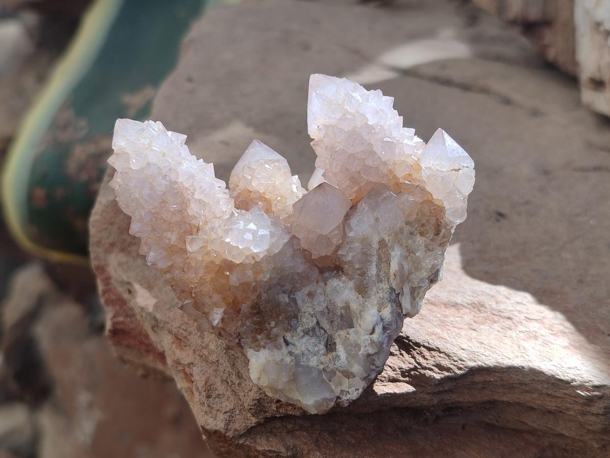 Natural Spirit Amethyst Clusters x 12 From Boekenhouthoek, South Africa - Toprock Gemstones and Minerals 