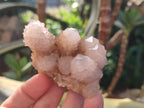 Natural Spirit Amethyst Clusters x 12 From Boekenhouthoek, South Africa - Toprock Gemstones and Minerals 