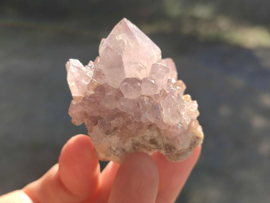 Natural Spirit Amethyst Clusters x 12 From Boekenhouthoek, South Africa - Toprock Gemstones and Minerals 