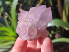 Natural Spirit Amethyst Clusters x 12 From Boekenhouthoek, South Africa - Toprock Gemstones and Minerals 