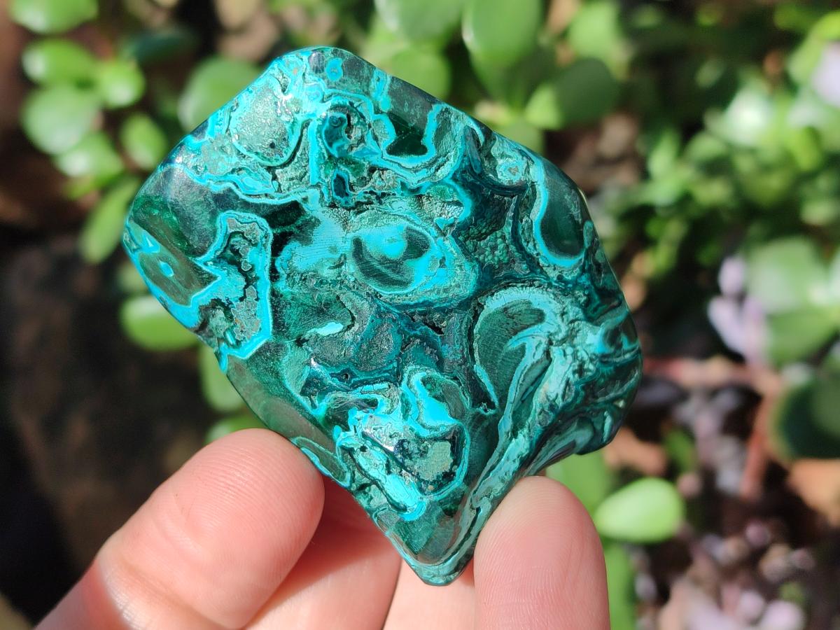 Polished Malacolla Free Forms x 12 From Kulukuluku, Congo - Toprock Gemstones and Minerals 