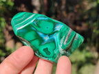 Polished Malacolla Free Forms x 12 From Kulukuluku, Congo - Toprock Gemstones and Minerals 