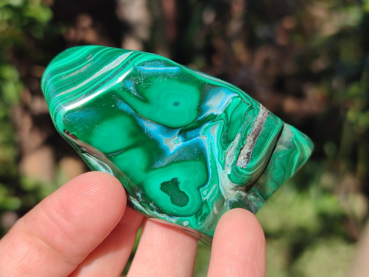 Polished Malacolla Free Forms x 12 From Kulukuluku, Congo - Toprock Gemstones and Minerals 