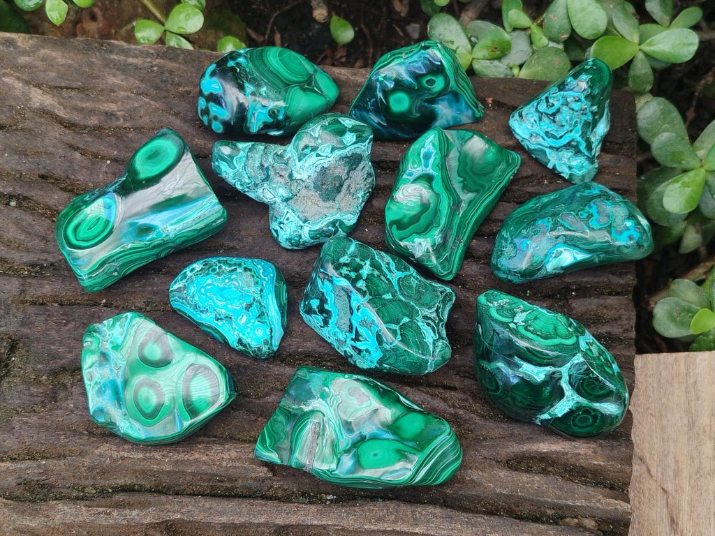 Polished Malacolla Free Forms x 12 From Kulukuluku, Congo - Toprock Gemstones and Minerals 
