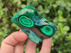 Polished Malacolla Free Forms x 12 From Kulukuluku, Congo - Toprock Gemstones and Minerals 