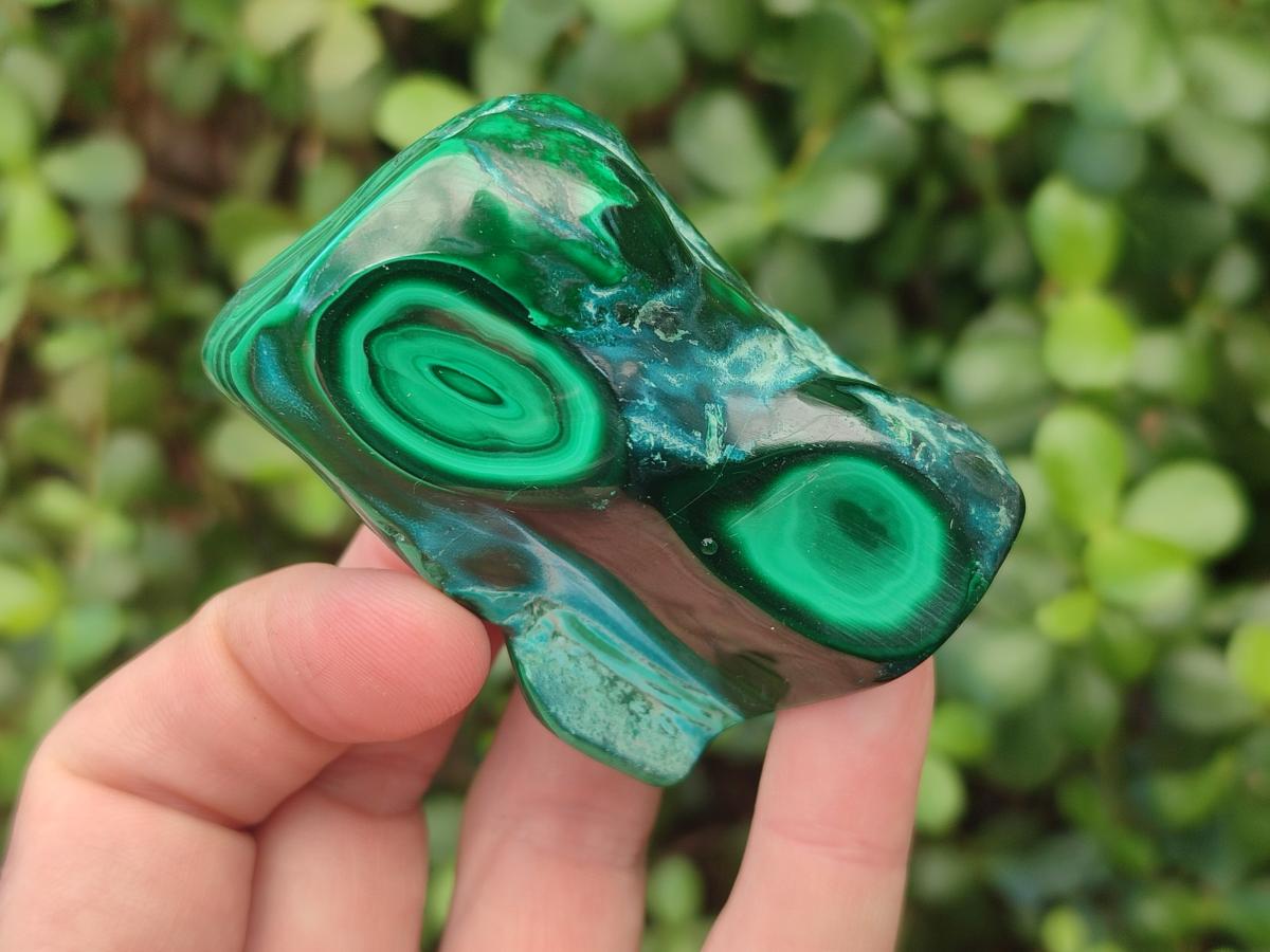 Polished Malacolla Free Forms x 12 From Kulukuluku, Congo - Toprock Gemstones and Minerals 