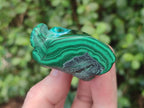 Polished Malacolla Free Forms x 12 From Kulukuluku, Congo - Toprock Gemstones and Minerals 