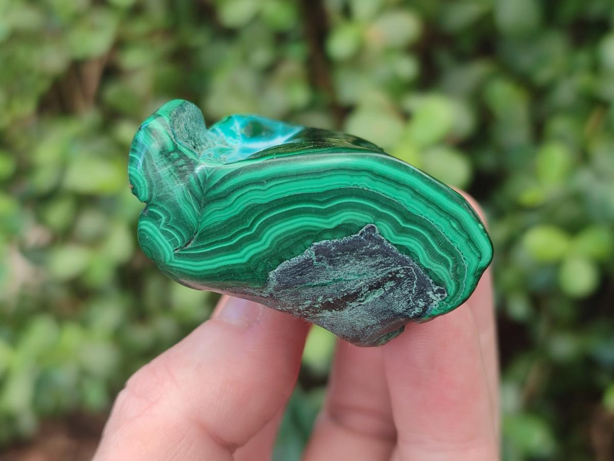Polished Malacolla Free Forms x 12 From Kulukuluku, Congo - Toprock Gemstones and Minerals 