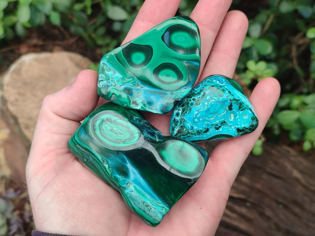 Polished Malacolla Free Forms x 12 From Kulukuluku, Congo - Toprock Gemstones and Minerals 