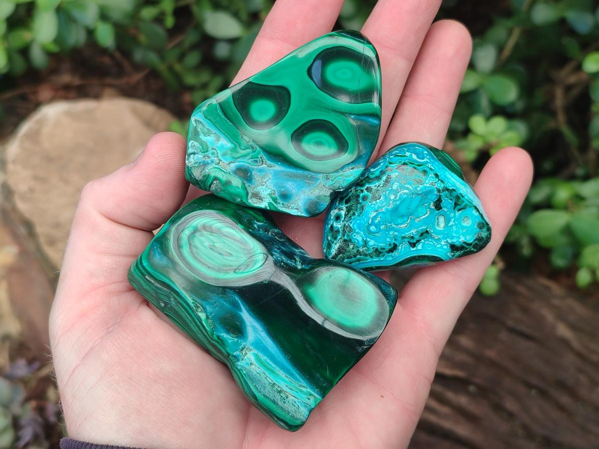 Polished Malacolla Free Forms x 12 From Kulukuluku, Congo - Toprock Gemstones and Minerals 