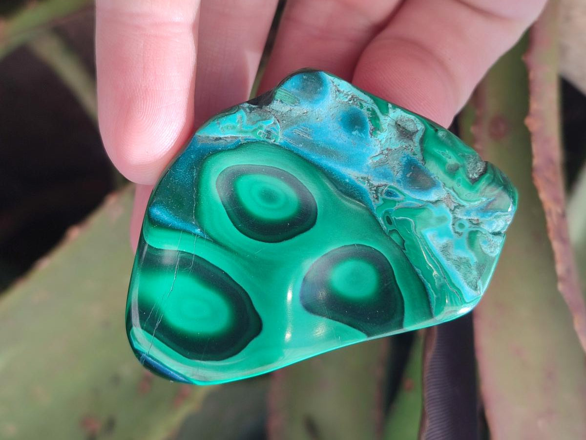 Polished Malacolla Free Forms x 12 From Kulukuluku, Congo - Toprock Gemstones and Minerals 
