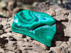 Polished Malacolla Free Forms x 12 From Kulukuluku, Congo - Toprock Gemstones and Minerals 