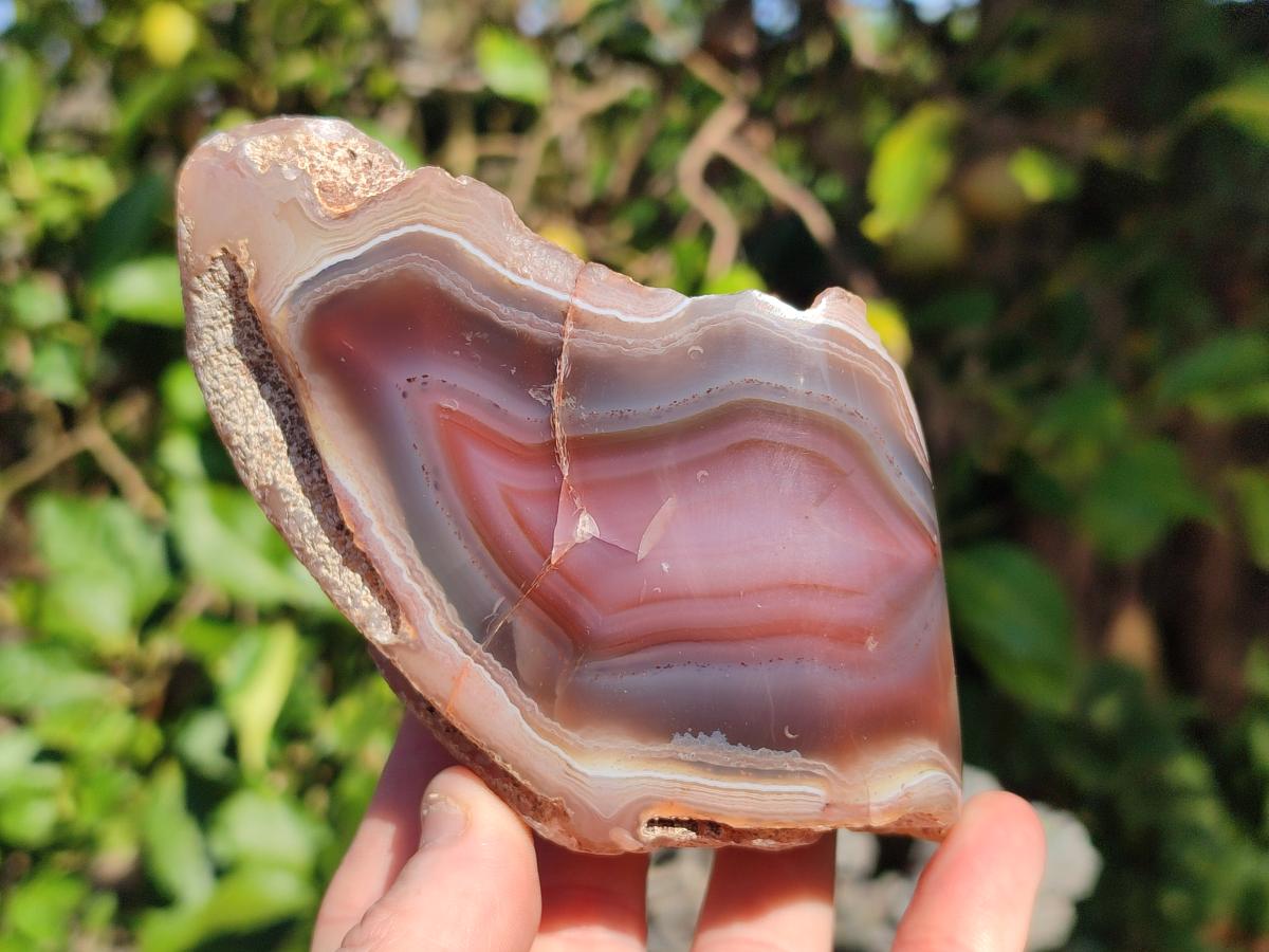 Polished One Side Red Shashe River Agate Nodules x 4 From Shashe River, Zimbabwe - Toprock Gemstones and Minerals 