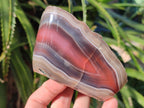 Polished One Side Red Shashe River Agate Nodules x 4 From Shashe River, Zimbabwe - Toprock Gemstones and Minerals 
