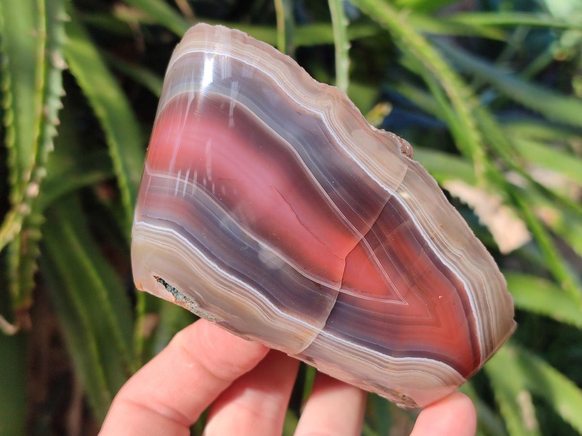Polished One Side Red Shashe River Agate Nodules x 4 From Shashe River, Zimbabwe - Toprock Gemstones and Minerals 
