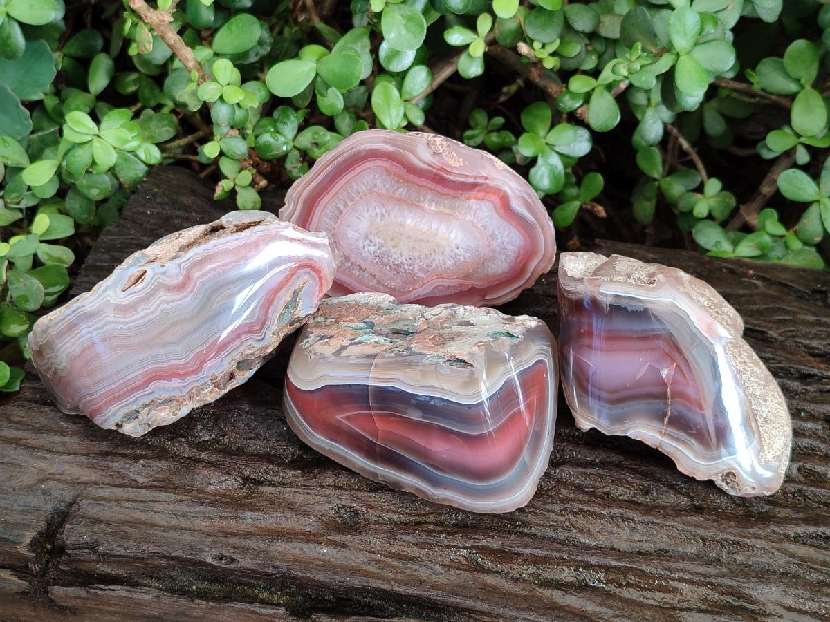 Polished One Side Red Shashe River Agate Nodules x 4 From Shashe River, Zimbabwe - Toprock Gemstones and Minerals 