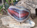 Polished One Side Red Shashe River Agate Nodules x 4 From Shashe River, Zimbabwe - Toprock Gemstones and Minerals 