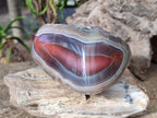 Polished One Side Red Shashe River Agate Nodules x 4 From Shashe River, Zimbabwe - Toprock Gemstones and Minerals 
