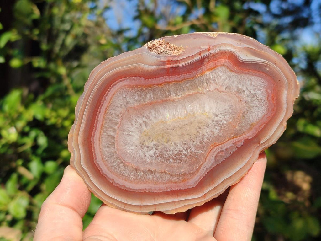 Polished One Side Red Shashe River Agate Nodules x 4 From Shashe River, Zimbabwe - Toprock Gemstones and Minerals 