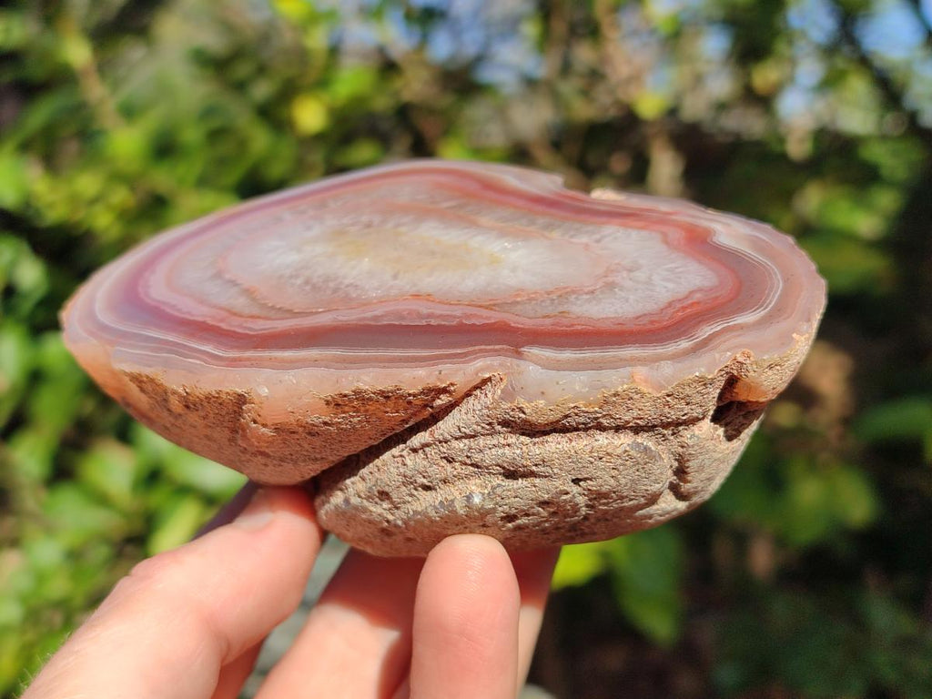 Polished One Side Red Shashe River Agate Nodules x 4 From Shashe River, Zimbabwe - Toprock Gemstones and Minerals 